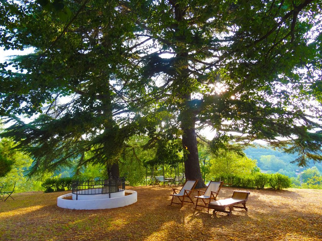 Bed and Breakfast La Celestina Piana Crixia Exterior foto